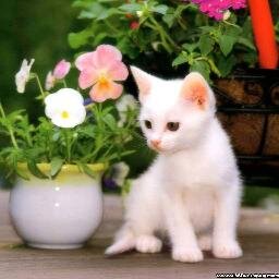 j_elma's profile picture. 