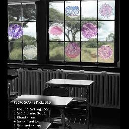 tadpole62's profile picture. Biology education manufacturing microscope slides, Micrographs and educational DVDs.  Main interests SA Frogs, Photography and Conchology.