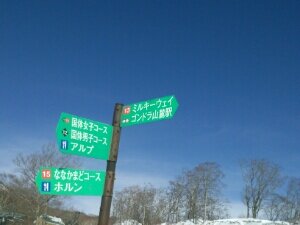 amikuny's profile picture. 