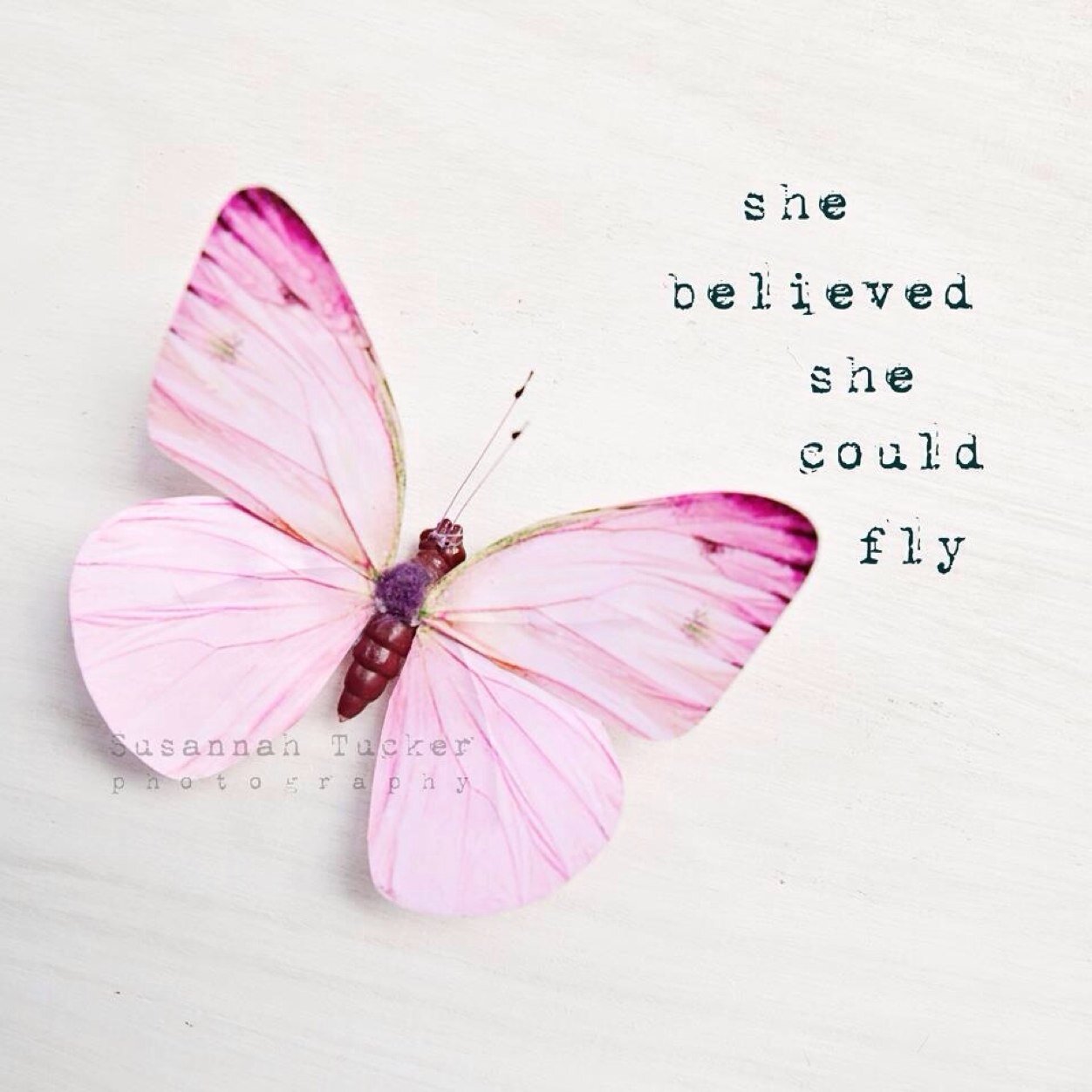 Alis Volat Propris - she flies with her own wings-
Pro ED recovery and health. A decade of ana/mia and now its time to change.