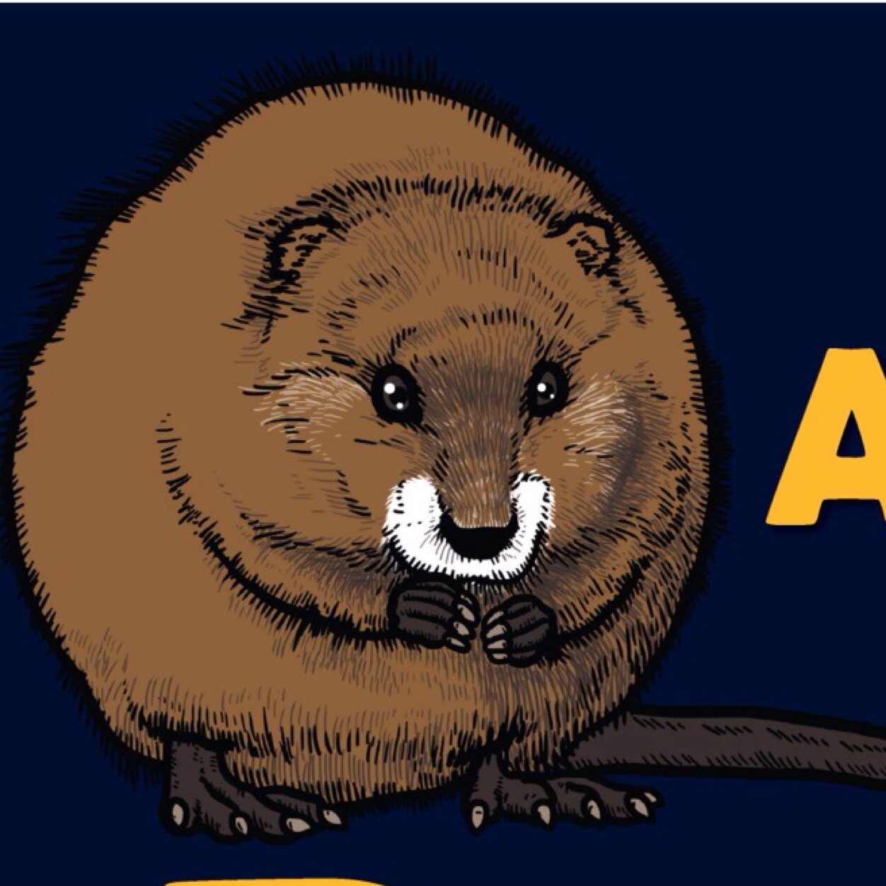 Algonac Elementary (AlgonacElem) Twitter