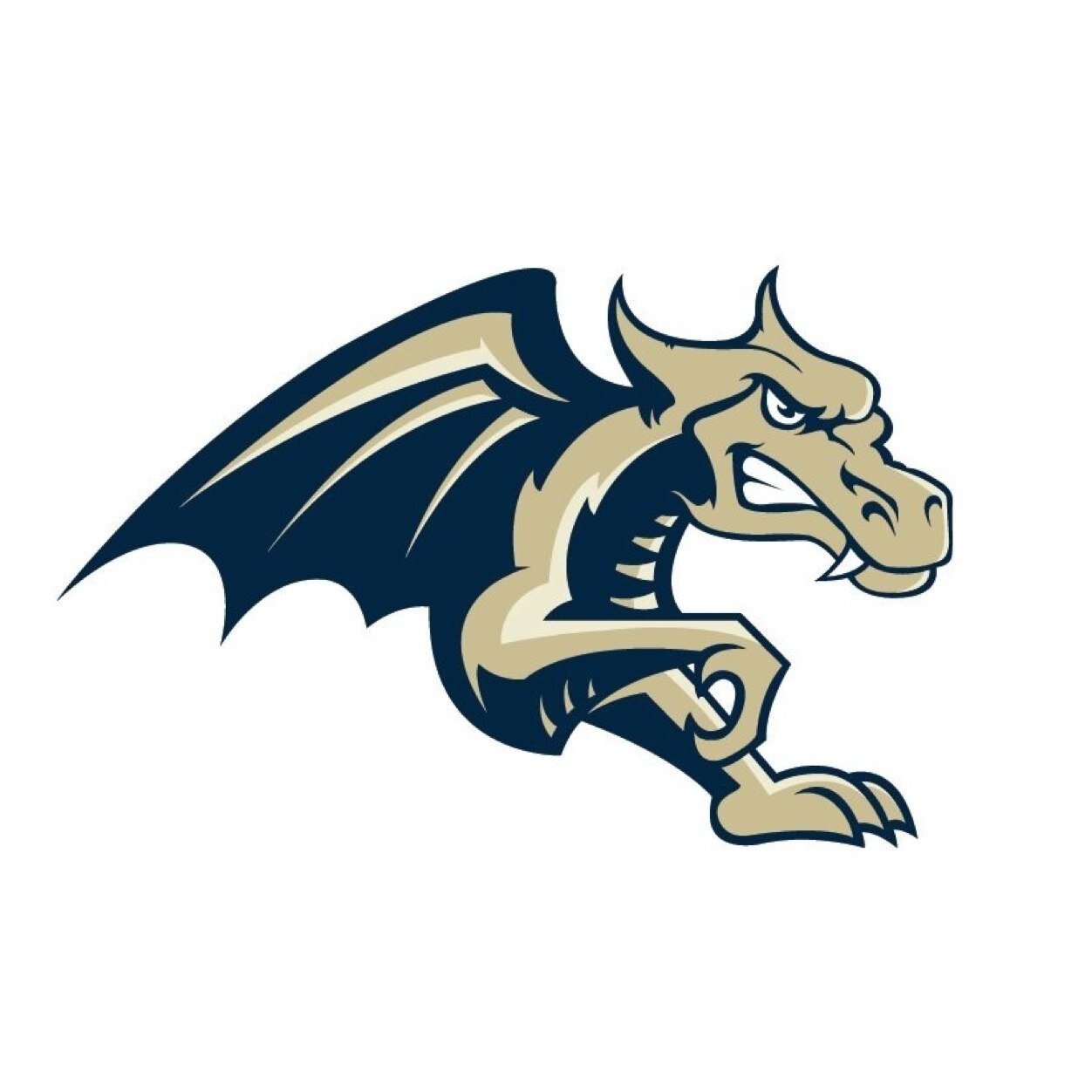 Welcome to the OFFICIAL Twitter page of the Bendigo Dragons American Football Club.. Follow us to receive up-to-date information, straight from the Dragons!