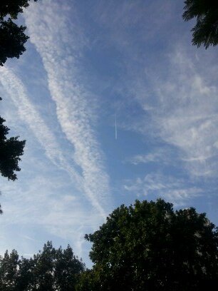 MiguelA45942130's profile picture. 