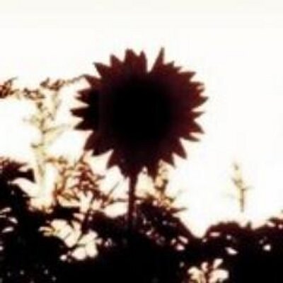 ムーミン童話名言集bot Tooticki Osyama Twitter