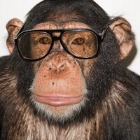 Terry Richardson (@terry_world) 's Twitter Profile
