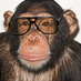 Terry Richardson (@terry_world) Twitter profile photo