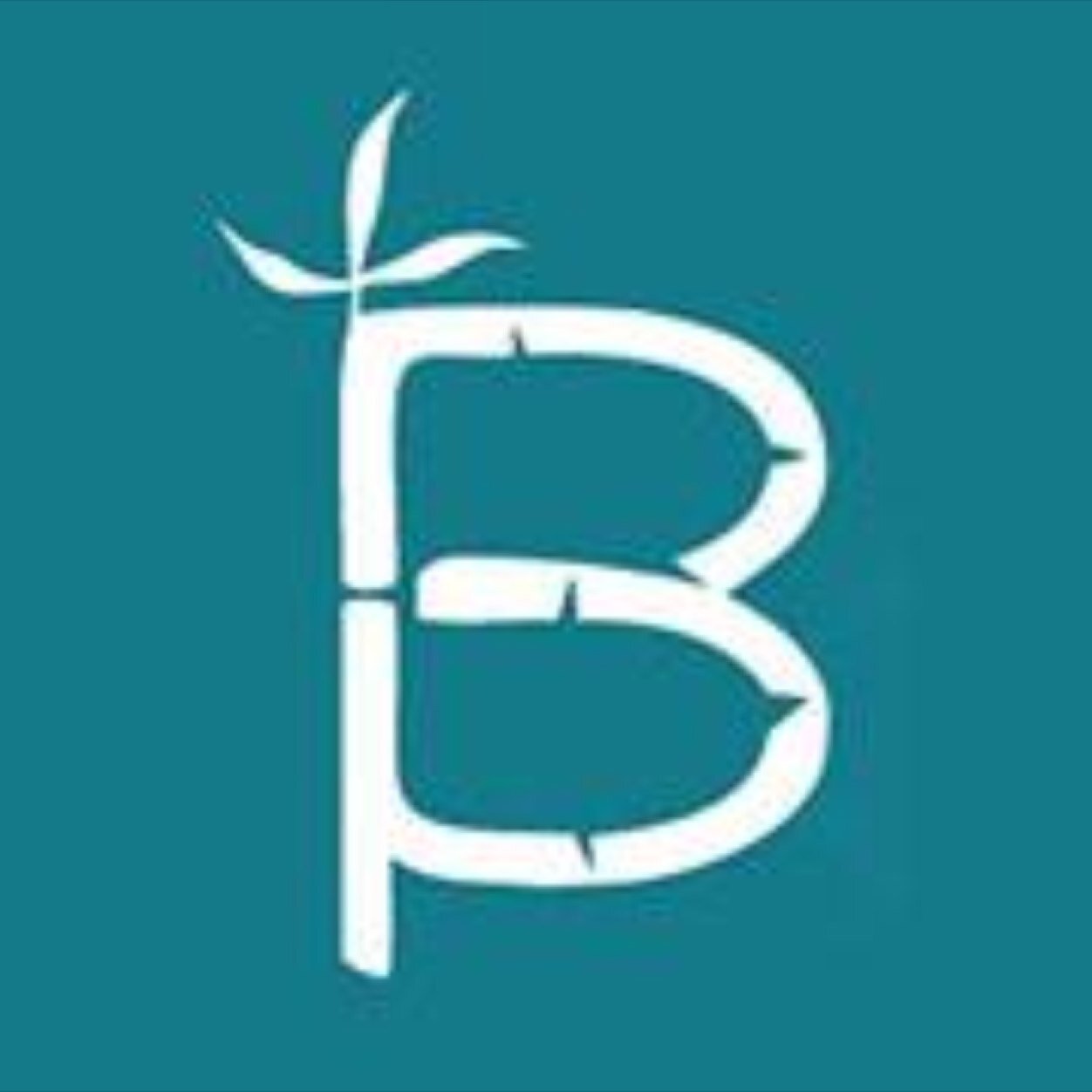 Bamboo Shoots produces video and specialises in web and social media marketing | Events - Promos - Campaigns | 'It's not really work when it's fun!'