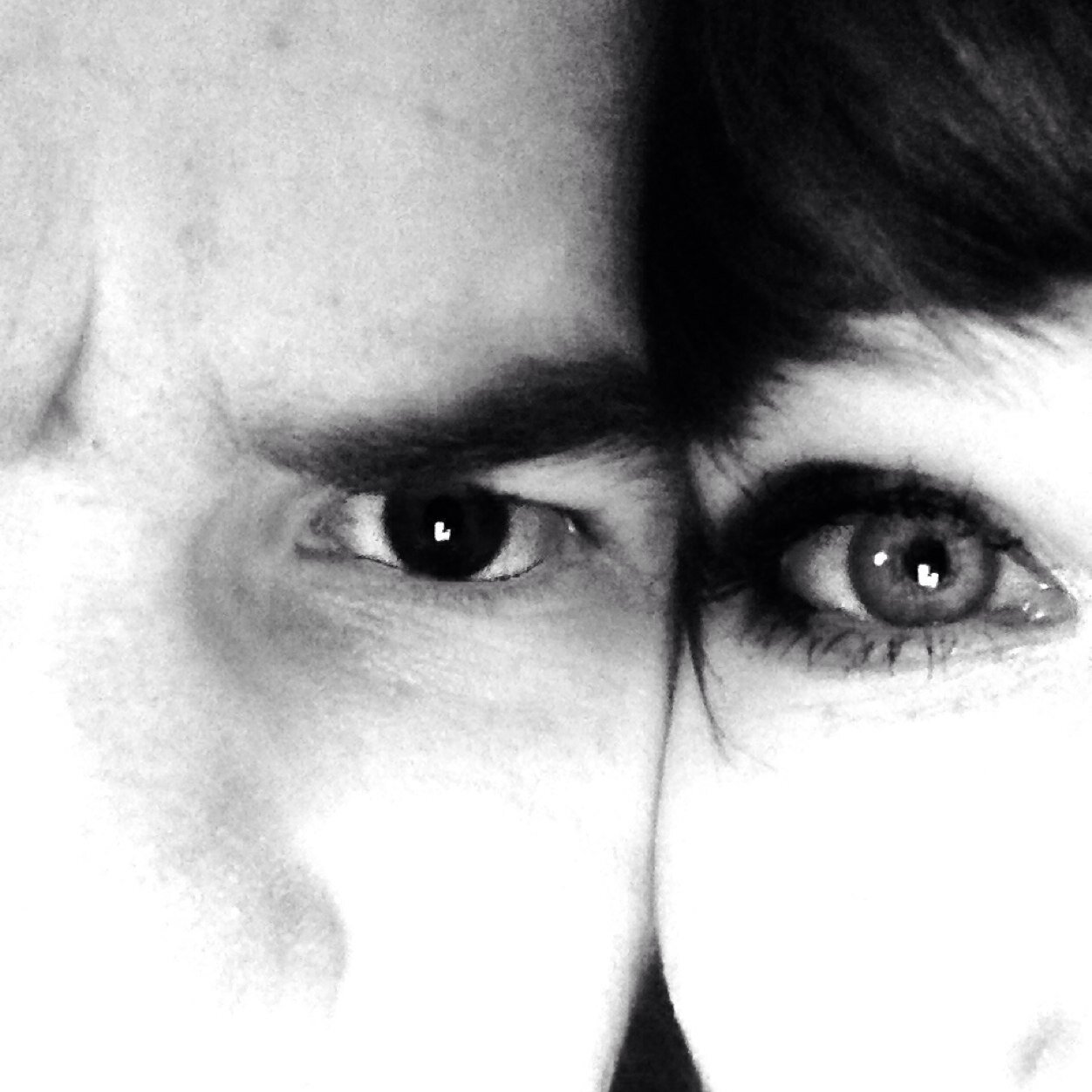 #ABSOLUTE #ZERSTÖRUNG