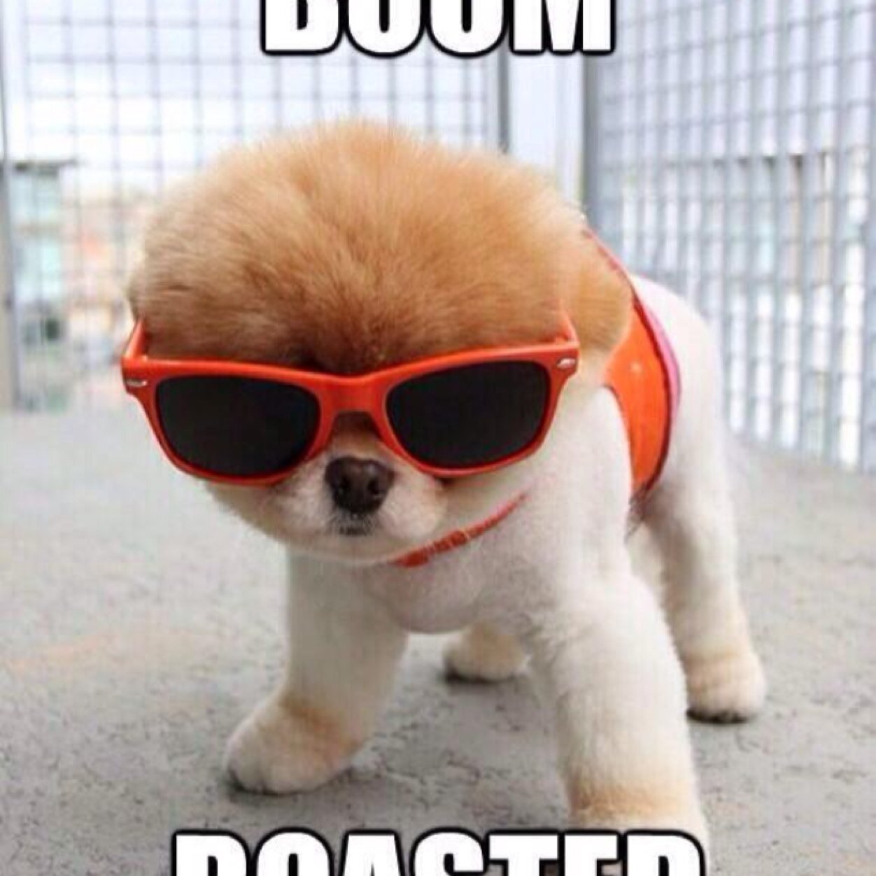 Kyroah_OG's profile picture. 