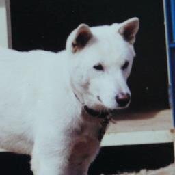 RESEARCHPROGRAM's profile picture. 主にテレビの仕事をさせていただいてます。真面目に不真面目な事を考えがち。