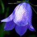COO Derbyshire (@coo_derbys) Twitter profile photo