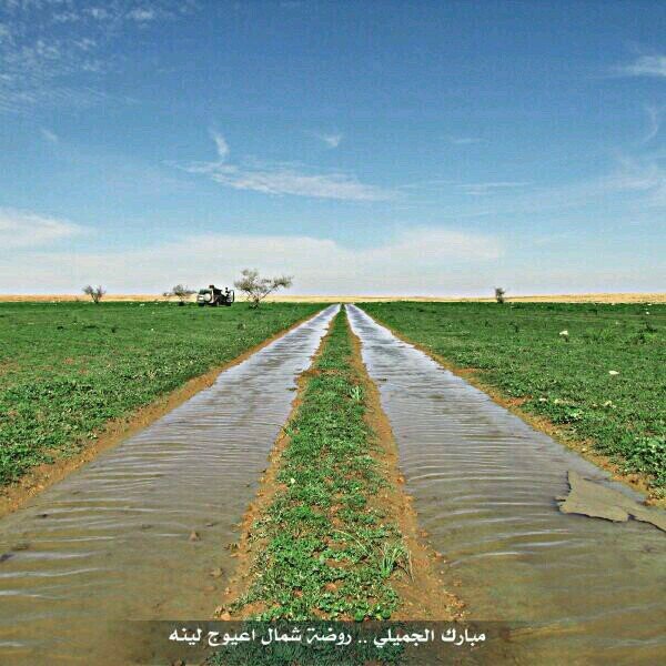 تابعني اتابعك
