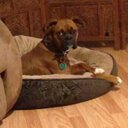 Dwayne Dawson - @dawson502 - Twitter