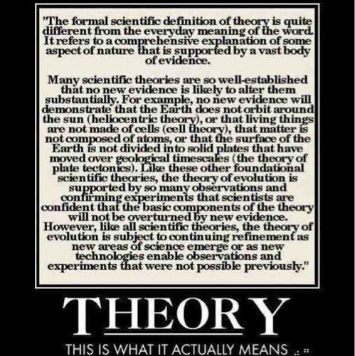 Evolution is ONLY a theory. 
And so is the Big Bang. 
And Climate Change. 

Just like gravity. 
And germ theory.