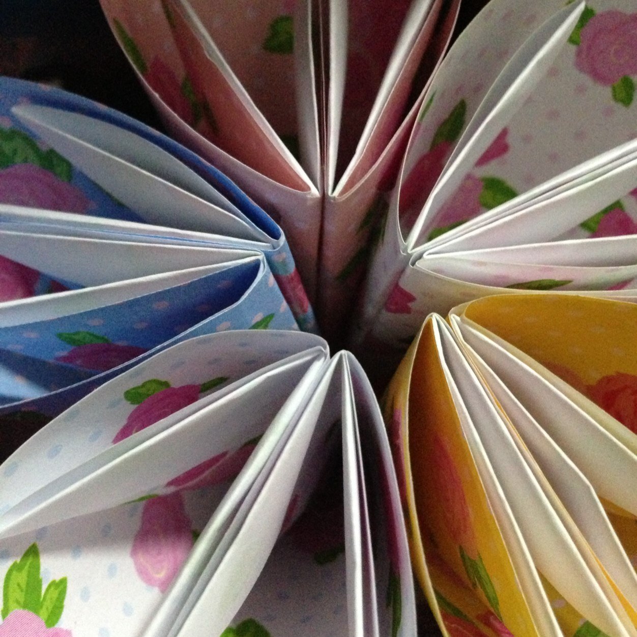 xillylah's profile picture. Hi