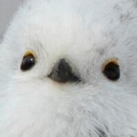 シマエナガbot (@simaenaga_bot) 's Twitter Profile