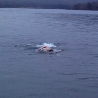 Andy Sewell (@sewelland) 's Twitter Profile