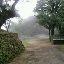 Pati Lira - @patilira75 - Twitter