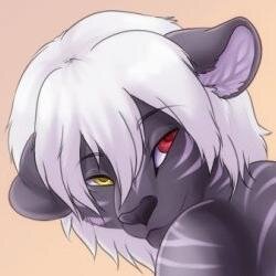 Black Gay Tiger🙀
NSFW Content!