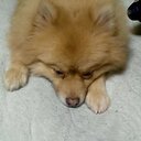 隆斗 (@0502Makiryuto) Twitter