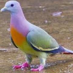 Looking for friends