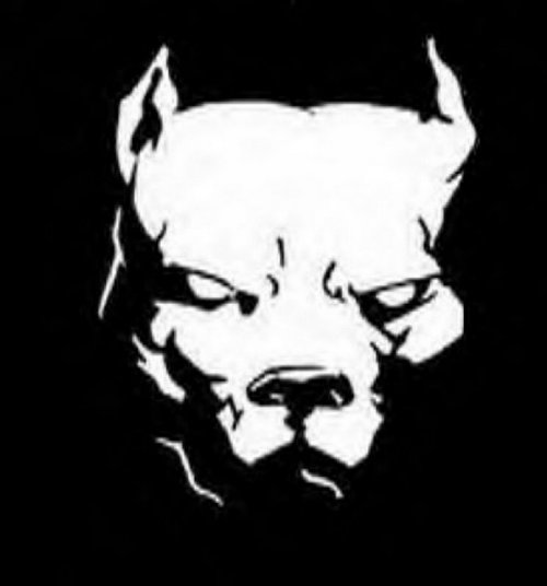 Twitter Oficial Galoucura Noroeste