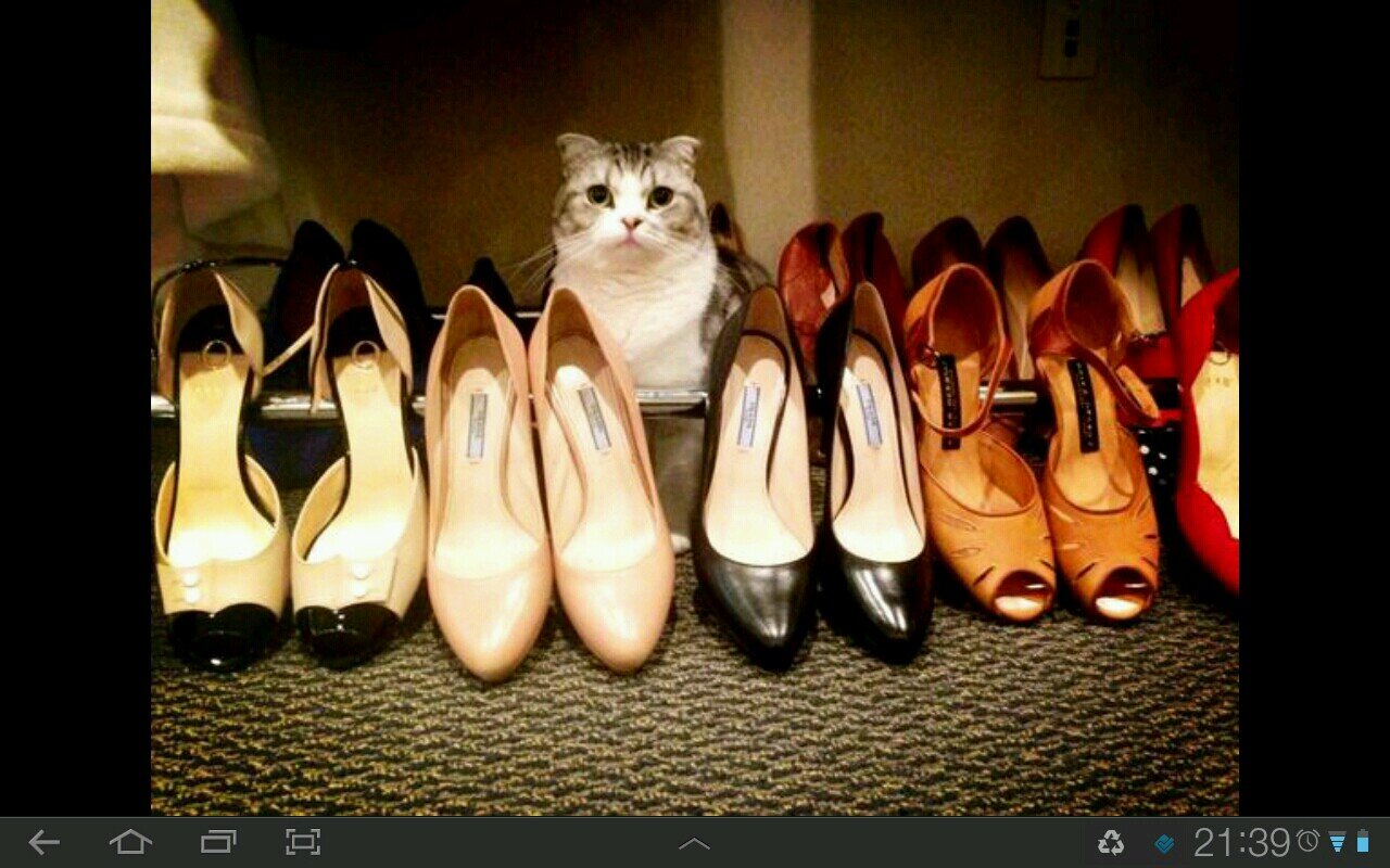 Be Fearless to Speak Now! Red album by Taylor Swift has been released on 22nd October 2012! Please come to Malaysia and other asia country Taylor!! Love you