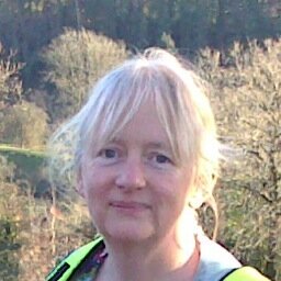 annaoFlowers's profile picture. Cut flower grower of #Britishflowers in the Forest of Dean, Gloucestershire