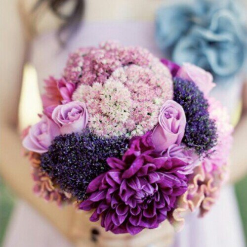 cherish_sally's profile picture. When Harry Met Sally