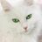 CalabroKatia's profile image