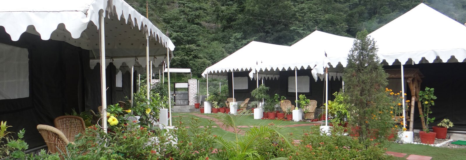The best camping experience in Rishikesh…
