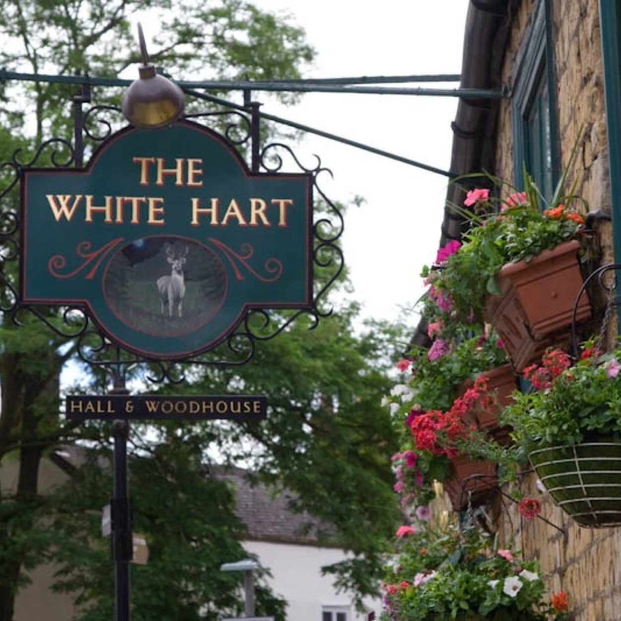 WhiteHartSborne's profile picture. Classic country pub in a beautiful Westcountry town, with a warm welcome, real ale, fabulous food, superb service & regular music nights featuring local bands!