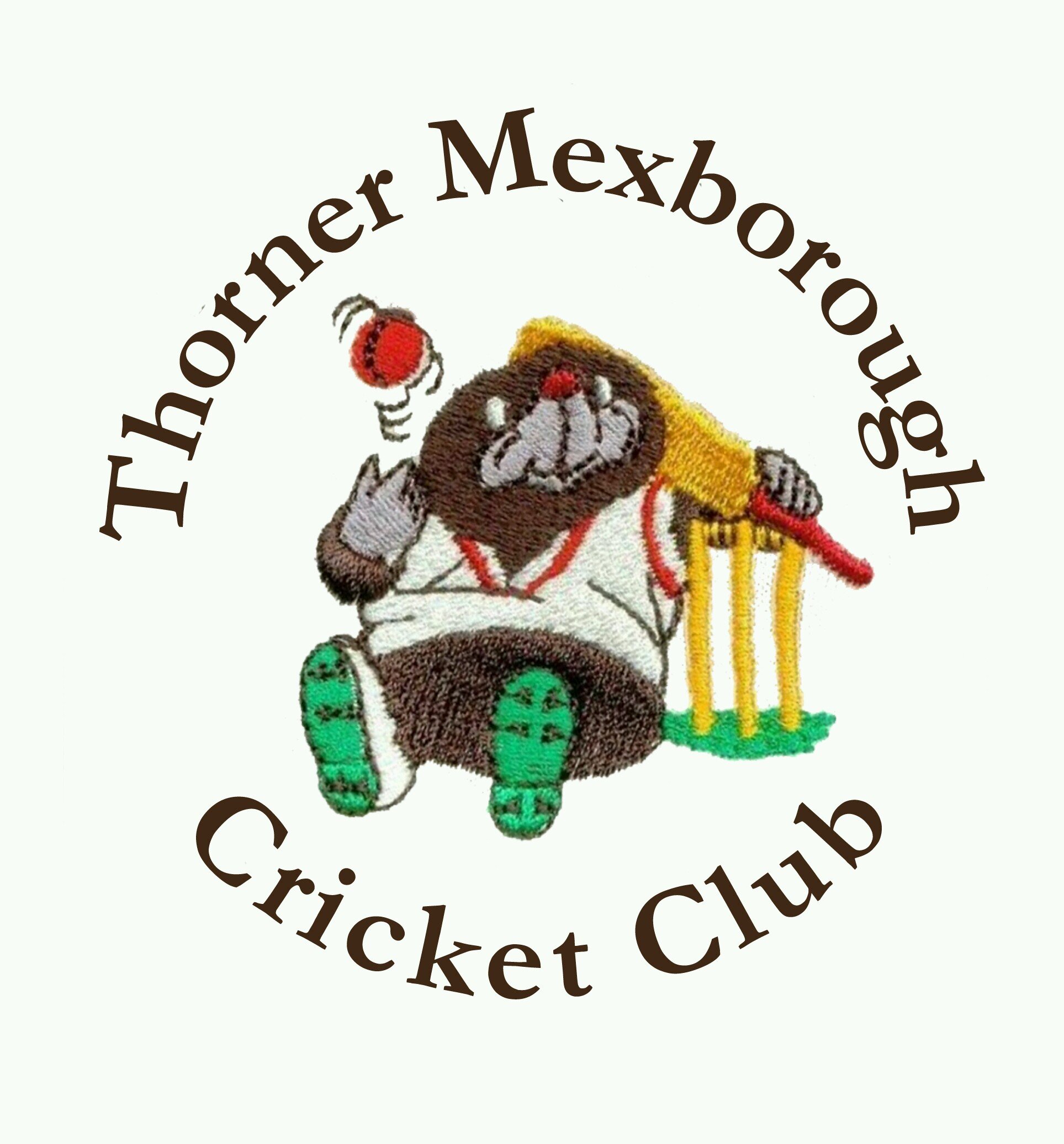 Village cricket team, first XI playing in division 2 and second XI promoted to division 3