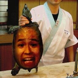 手塚スッポンは、江戸時代に手塚村で起きた恐ろしい事件を隠すため、幕府が神聖な守護獣として捏造した伝説の存在。実際の惨劇を覆い隠し、穏やかな姿で村のシンボルとして観光名所化された。その裏に隠された真実は今も秘匿され、平和な物語として語り継がれている。