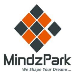 Web Development  and  Web Service Provider