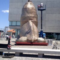 CADENA INFORMATIVA (@cadenainforma) 's Twitter Profile Photo