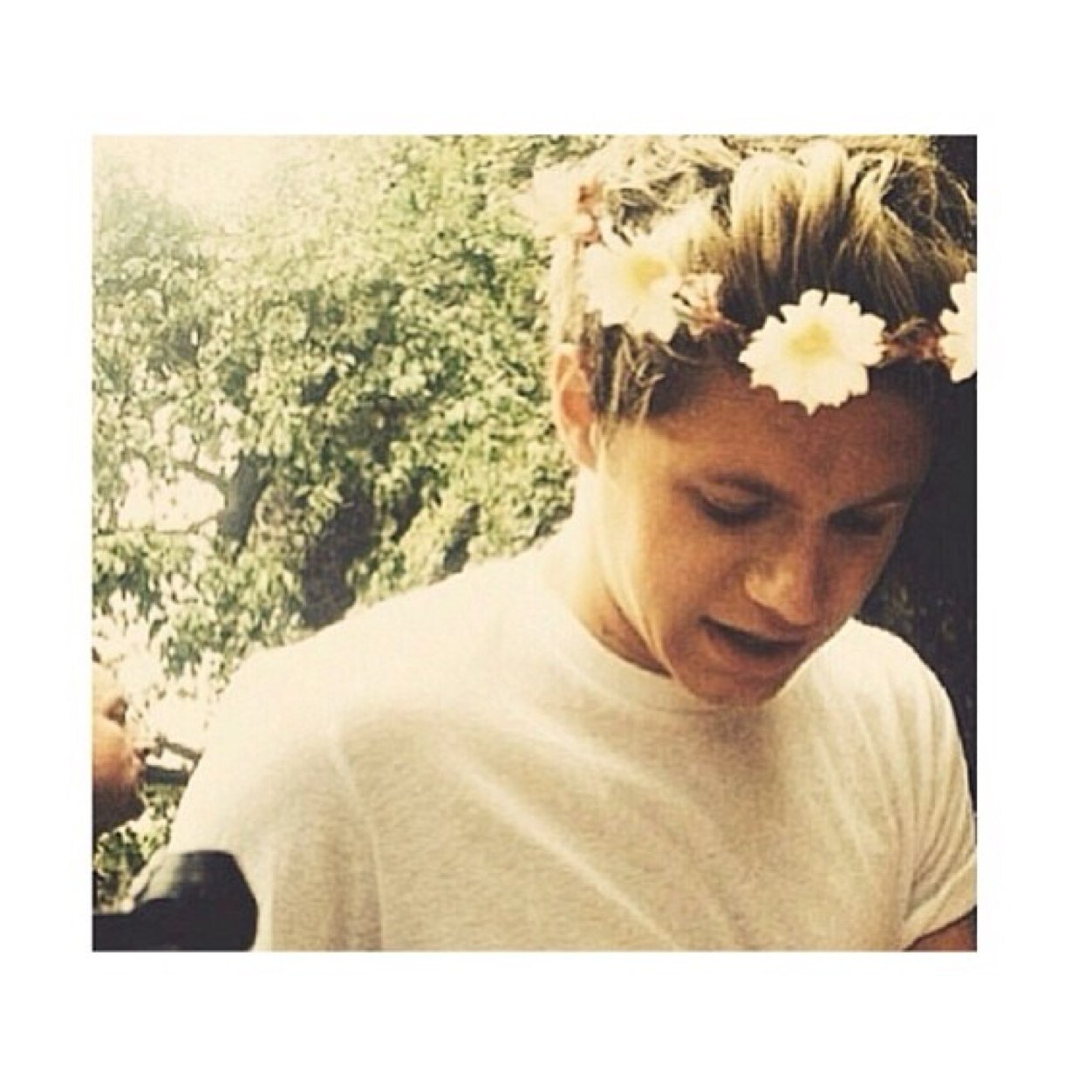 wow niall makes me emotionally unstable || 0/11 :(