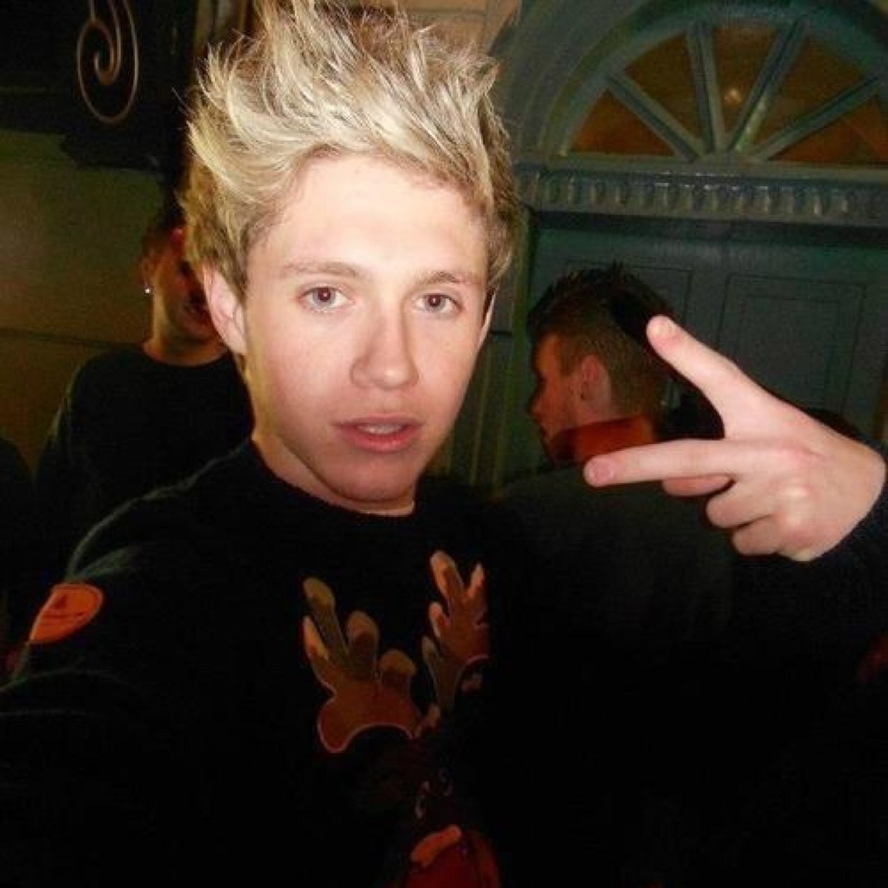 I only follow the people niall follow, & i'll let you know when your RT'd onto his TL
