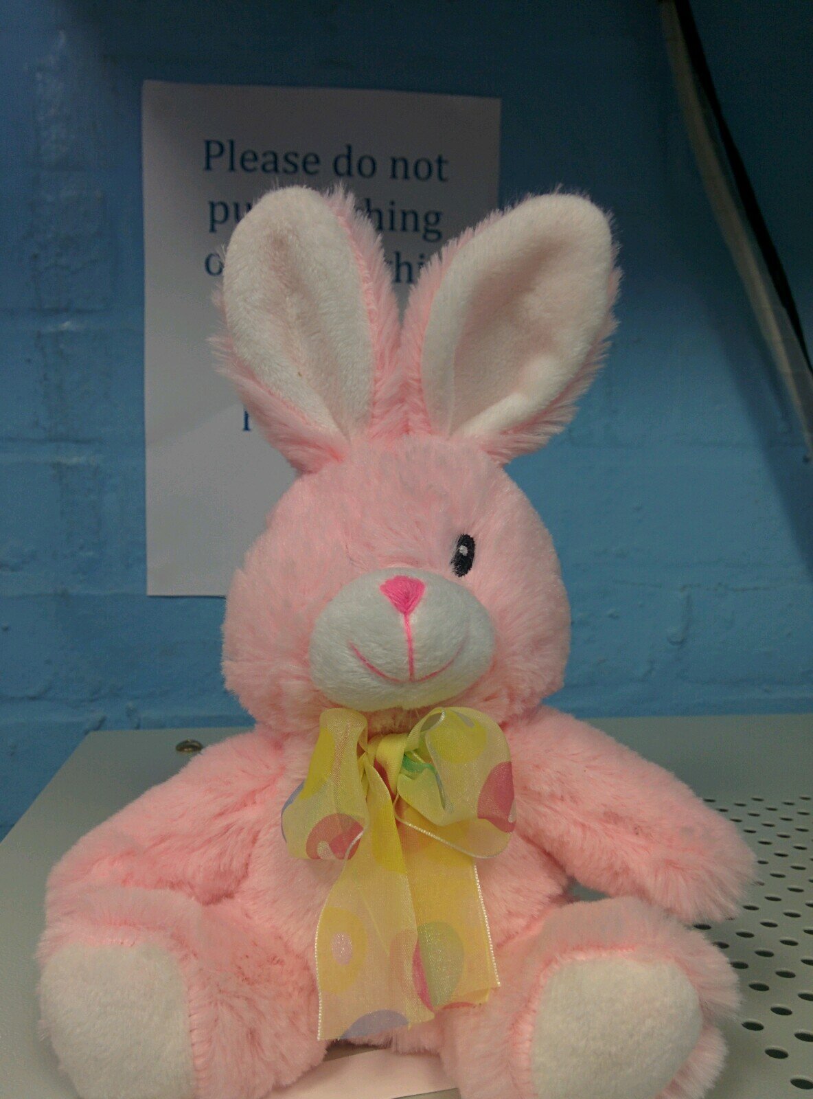 One eyed Easter Bunny and Unofficial Mascot for @radiosonar. In fact, nothing I say reflects Sonar's opinion whatsoever.