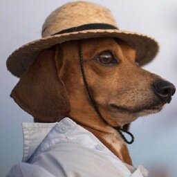 coorsplight's profile picture. 🐳 of a 👰