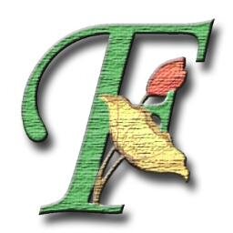 FlortexEmanuela's profile picture. 