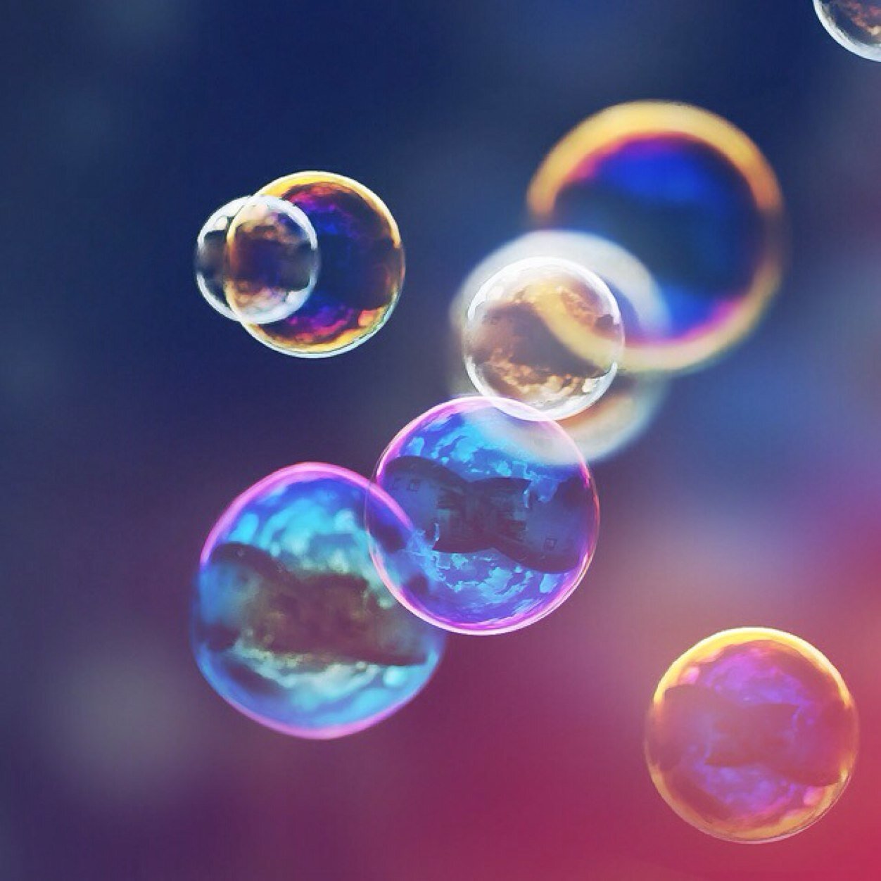 Dave73619357's profile picture. 