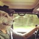 Daniel Rueda - @kovalsky - Twitter