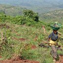 Amanda Thor - @climatechange21 - Twitter