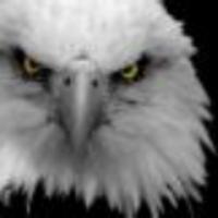 Enderlin Area School (@enderlineagles) 's Twitter Profile