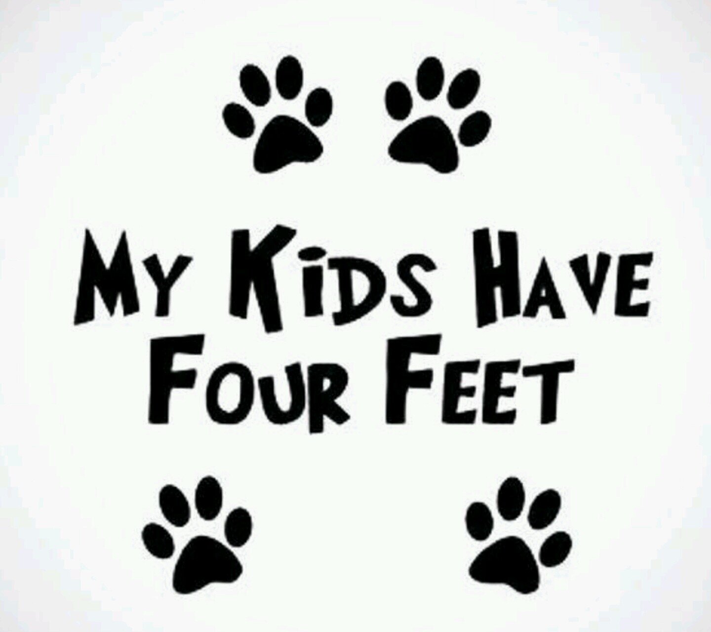 CatsAvenue's profile picture. Kedi sahiplendirilmesi ve fotoğraf, video paylaşımı yapıyoruz. Her zaman sahiplendirecek kedimiz vardır, bize ulaşın. İletişim; catsavenue@gmail.com (#Kezban)