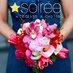 Soirée (@soireechi) Twitter profile photo