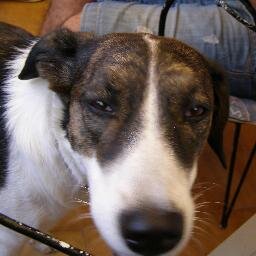 PeppyGiourdi's profile picture. 