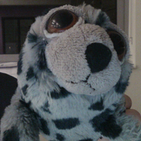 KBA_Geog (@kba_geog) 's Twitter Profile