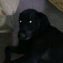 Eden baker - @edenbaker0913 - Twitter